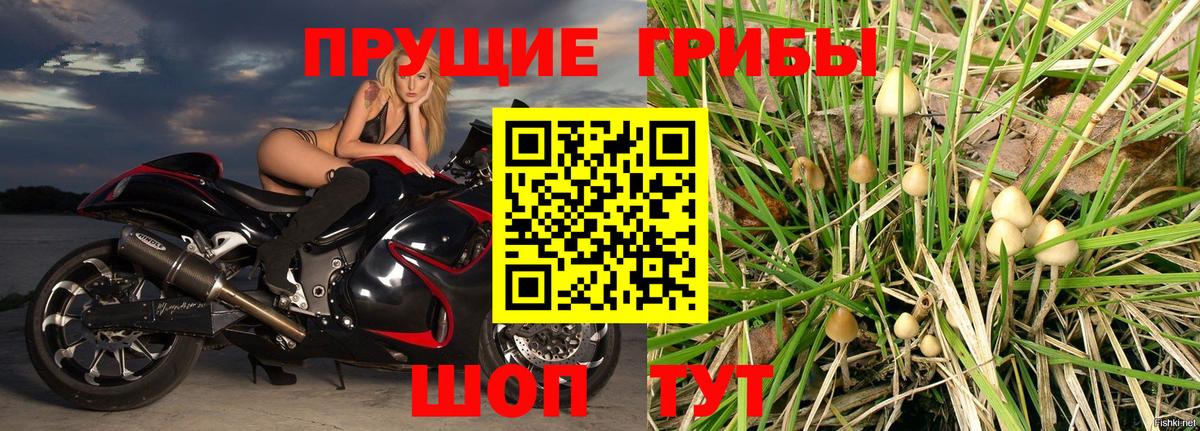 Псилоцибиновые грибы Psilocybine cubensis  Вход с VPN  Белореченск 