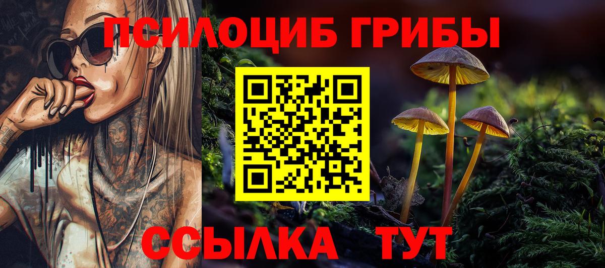 Галлюциногенные грибы GOLDEN TEACHER Белореченск